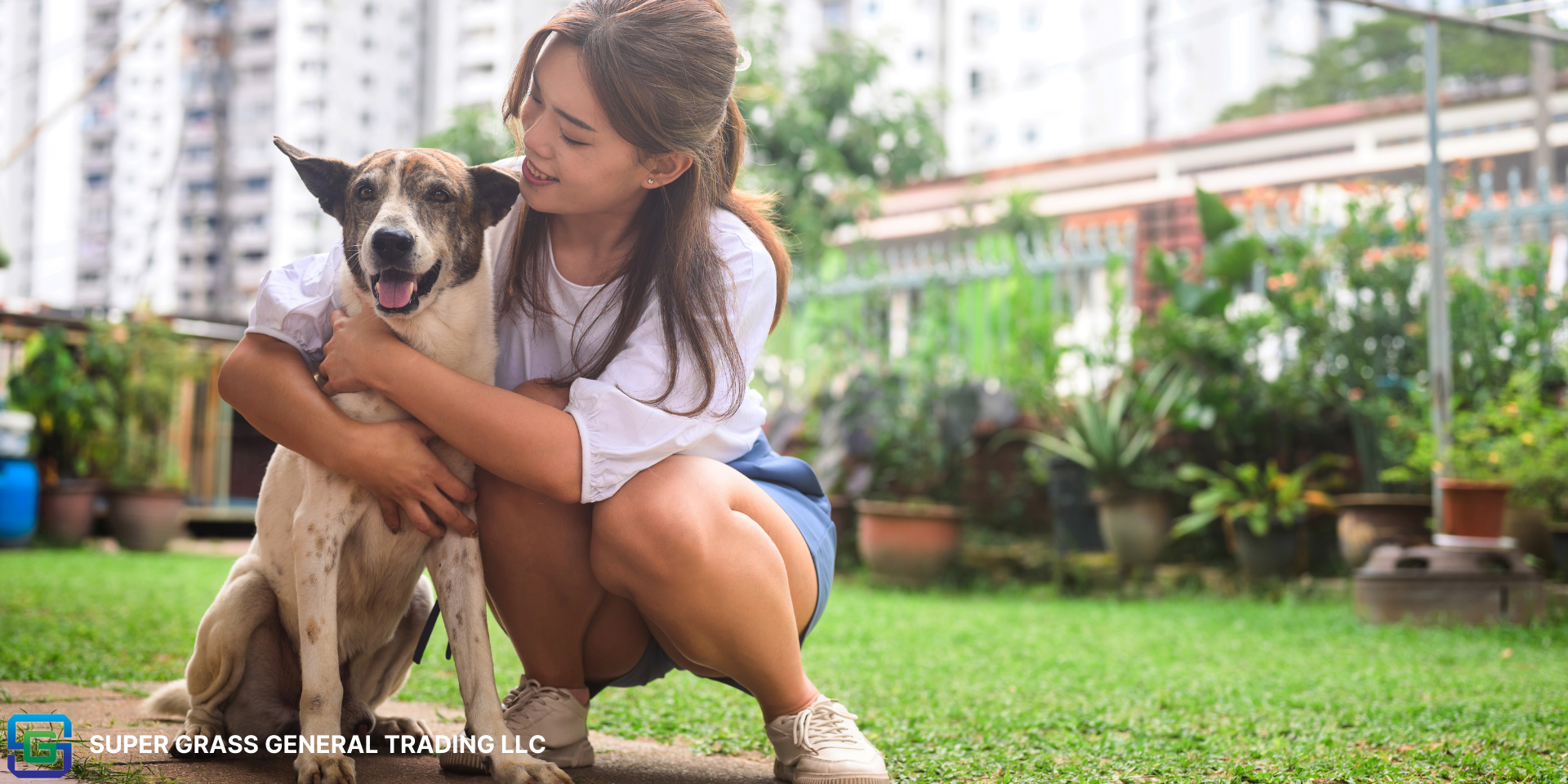 Common Mistakes to Avoid When Choosing Artificial Grass for Pets