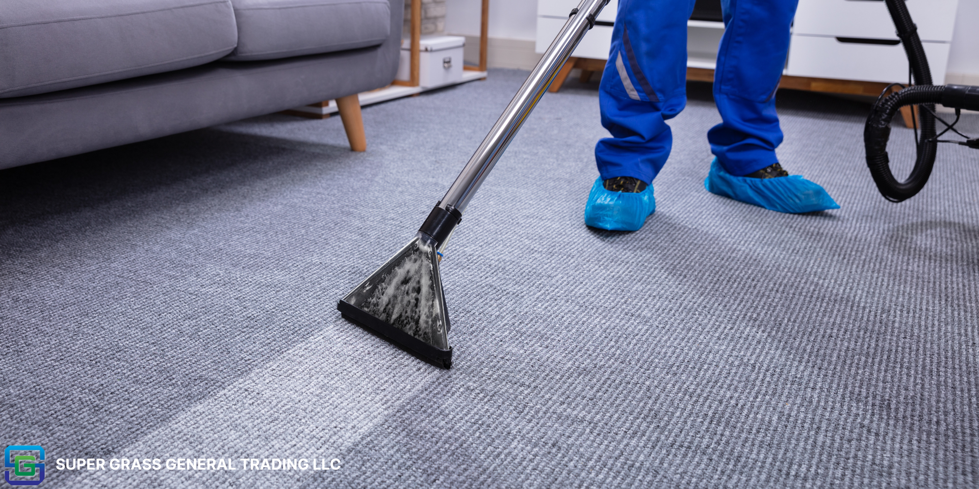 Carpet Maintenance Tips: Keeping Your Carpets Clean and Fresh