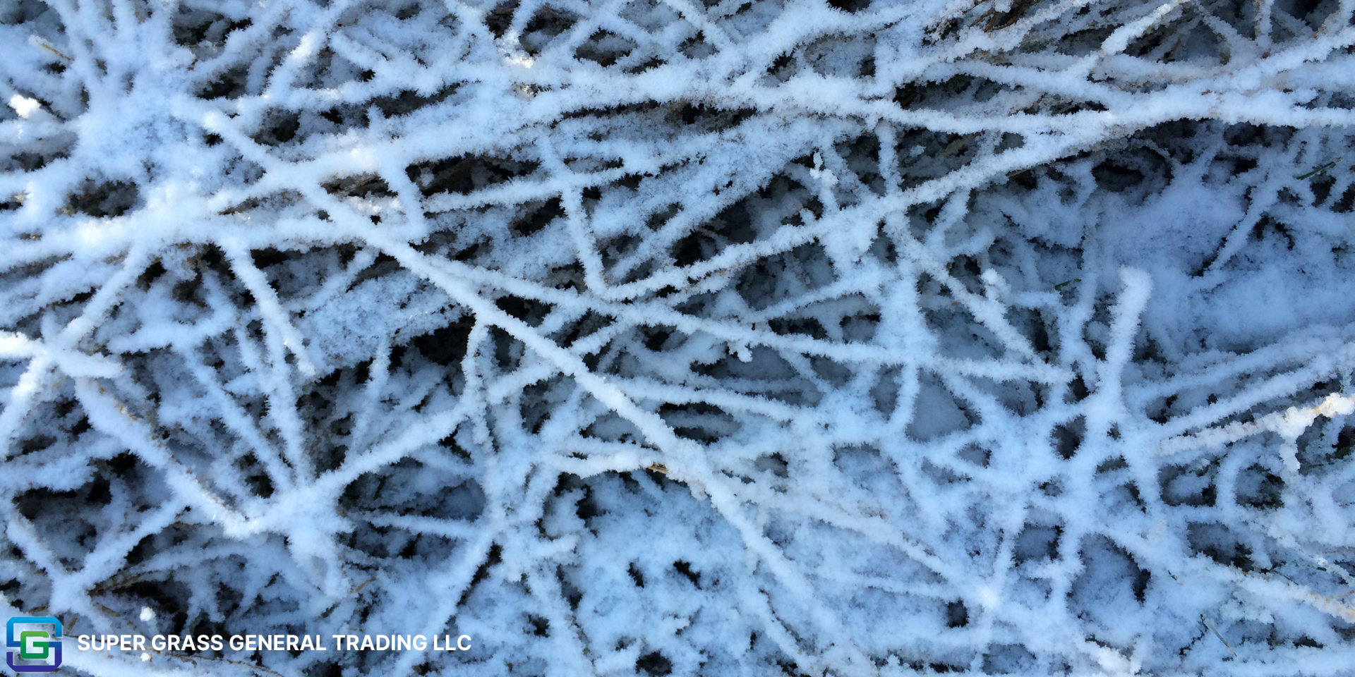 Winter Care for Artificial Grass: Tips for a Frosty Season