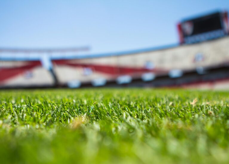 pexels-jsalamanca-61143