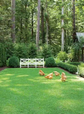 30c91fcfea4b5f67f7e05f1bce91577b7ac9b757